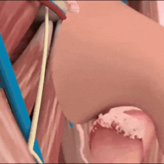 Liftrion - Prime Capsaicin 14 DM 20260115165735 001