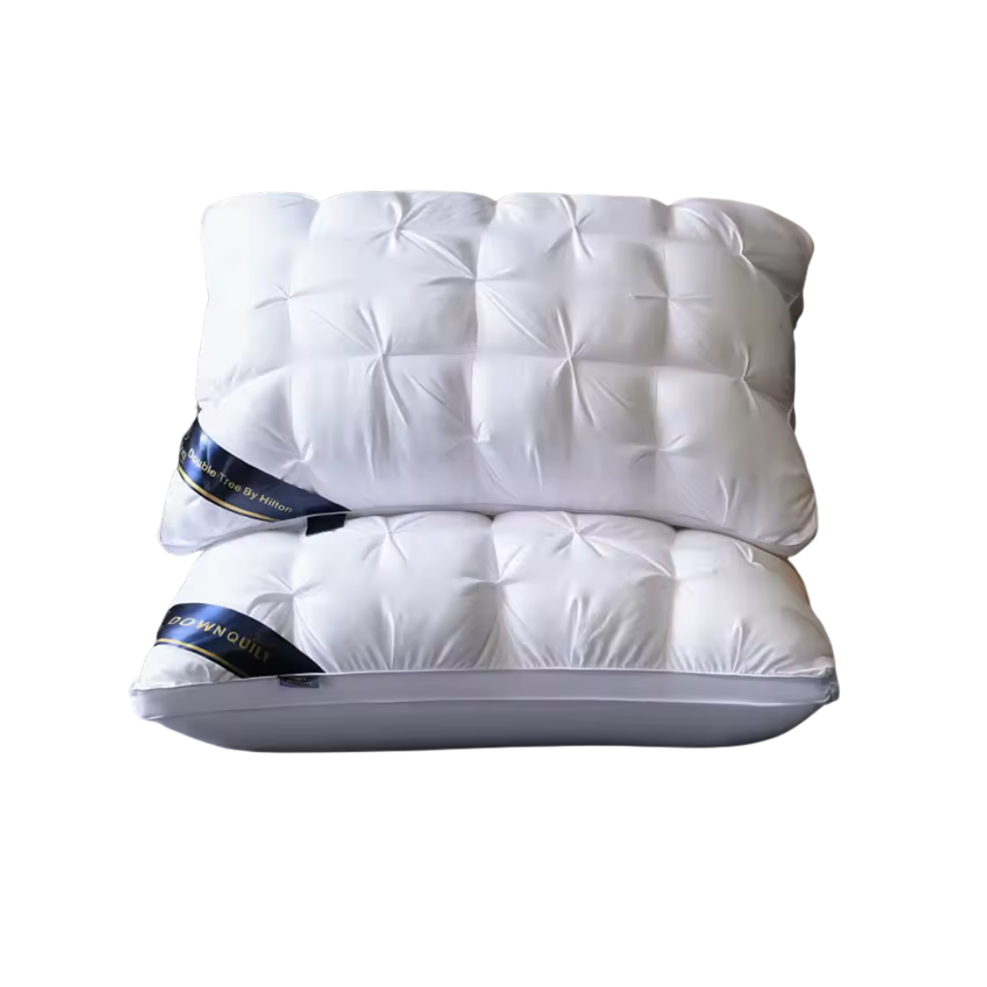Liftrion Super Pillow